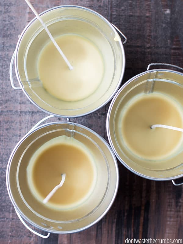 Homemade citronella candles