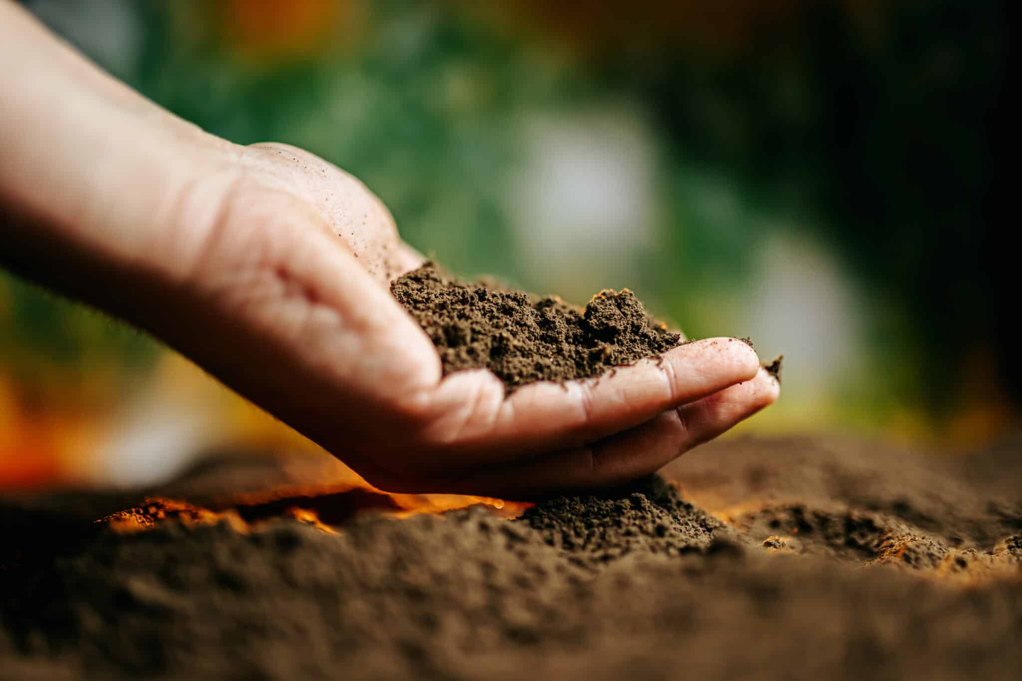 A close-up shot of human hands holding a clump of fertile soil, through the fingers. symbolizes the beauty of nature and the importance of nurturing the earth for future generations.