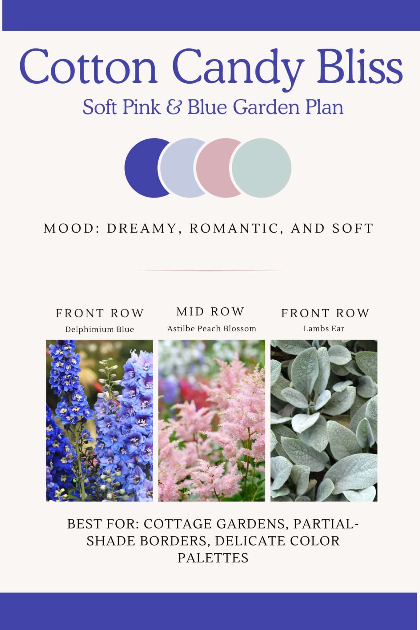 Infographic that shows pink, soft blues and green perennial flower bed design  with a soft and dreamy romantic feel.  