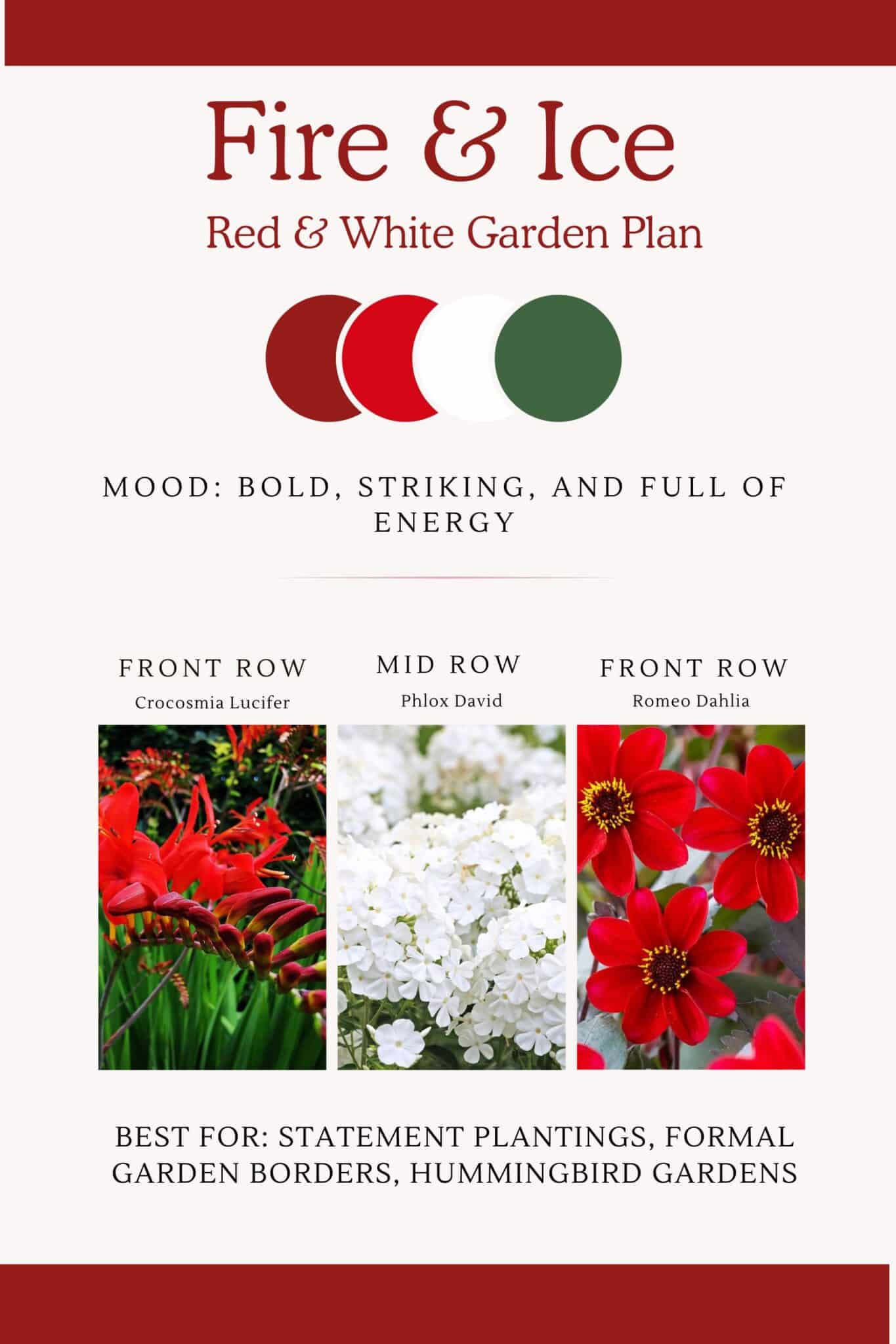 Infographic with bold deep reds, whites and deep green flower bed design. This design is bold, striking and full of energy. 