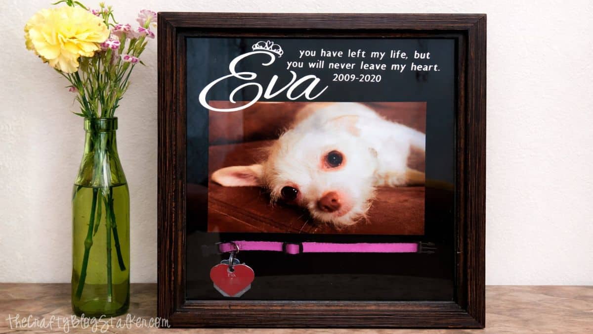 Framed pet memorial shadow box displaying a dog photo with the name Eva and years, plus a collar and heart-shaped tag, sitting beside a small vase of flowers.